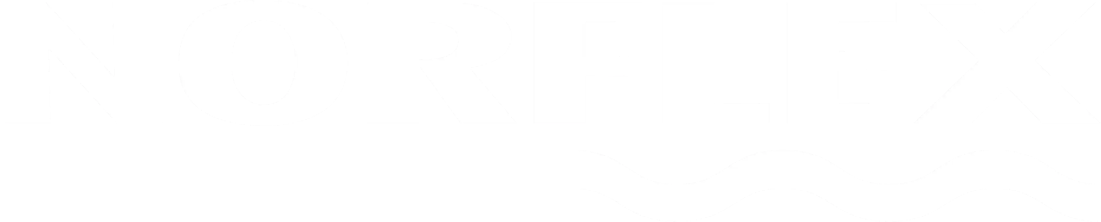 Logo de Norflex